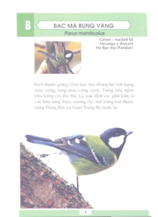 Từ Điển Tranh Về Các Loài Chim 2